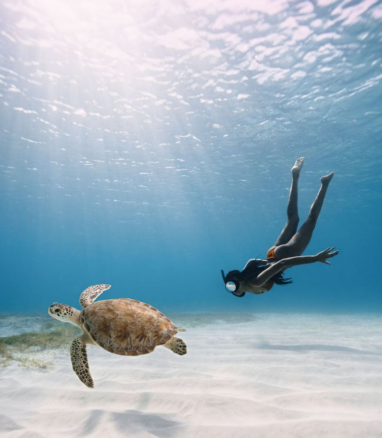 BoujiTravel Global Travel